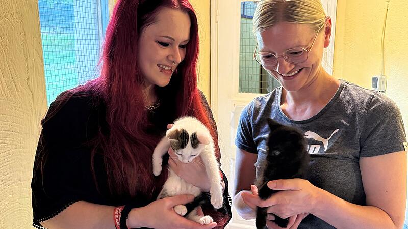 Tierheim Vereinsvorsitzende Lisa Weber (links) und Tierheim-Leiterin Melanie Pavelka freuen sich über die Katzenbabys, die im Tierheim Oberndorf gesund und sicher zur Welt kamen.