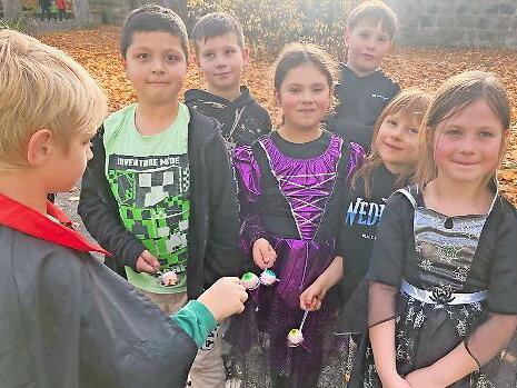 Konzentration ist alles: Wer bringt die glubschigen Augen am schnellsten ins Ziel?