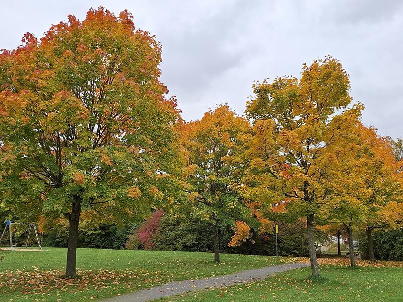 „Auch der Herbst hat seine schönen Seiten – wie im richtigen Leben.“