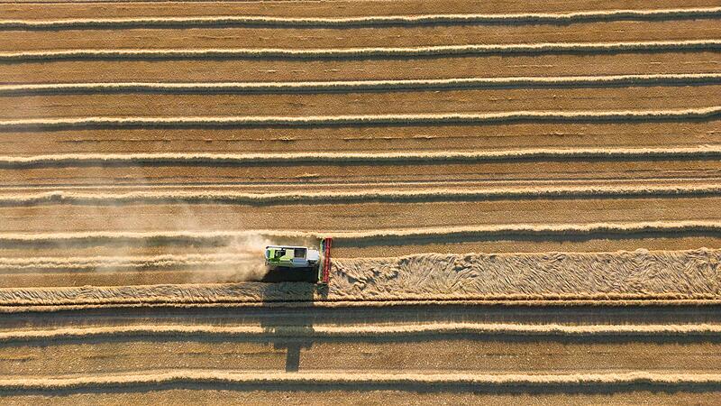 Ein Mähdrescher erntet Getreide – eine beliebte Anbaufrucht für Biobauern. Ein Mähdrescher erntet Getreide – eine beliebte Anbaufrucht für Biobauern.