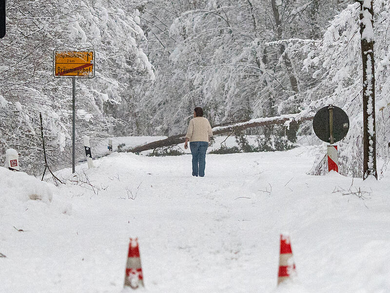 Nach den massiven Schneef&auml;llen der letzten Tage herrscht in ganz Oberfranken eine erhebliche Schneebruchgefahr, wie hier in Langensendelbach.