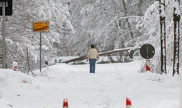 Akute Schneebruchgefahr in Oberfranken: Polizei warnt vor Lebensgefahr im WaldForchheim & Fränkische Schweiz Nach den massiven Schneefällen der letzten Tage herrscht in ganz Oberfranken eine erhebliche Schneebruchgefahr, wie hier in Langensendelbach.