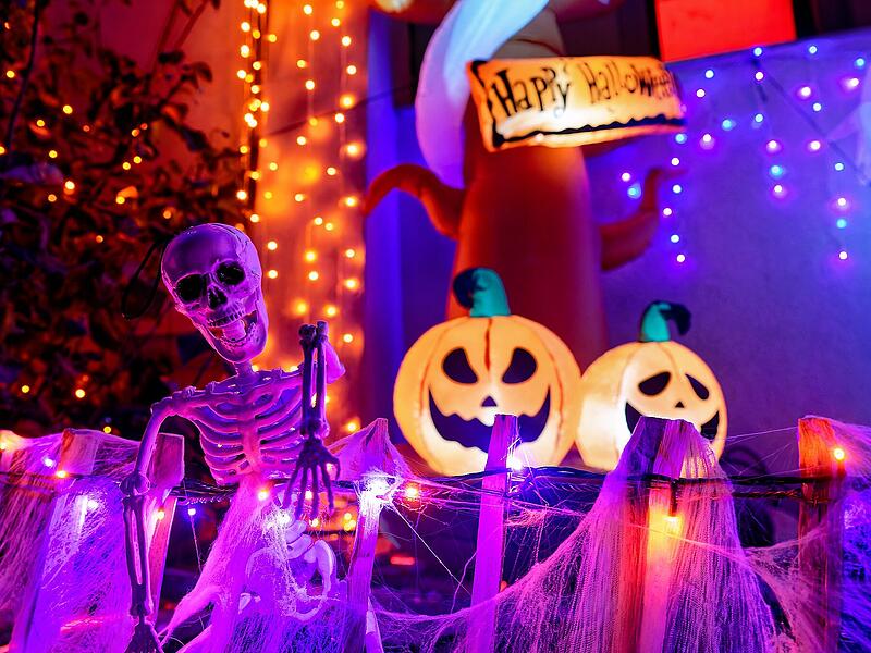 Halloween-Haus Geisfeld Bamberg 2026Halloween-Haus Geisfeld Bamberg 2026 Das Halloween-Haus der Familie Hösch in Geisfeld (Landkreis Bamberg) verwandelt sich wieder in eine Grusellandschaft. Für Samstag werden mehr als 1000 Besucher erwartet.