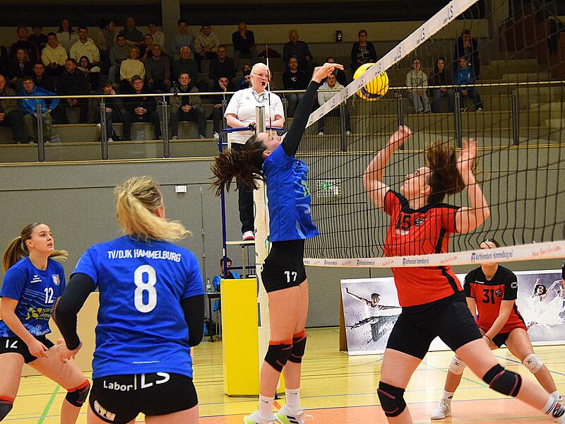 Volleyball aus Hammelburg