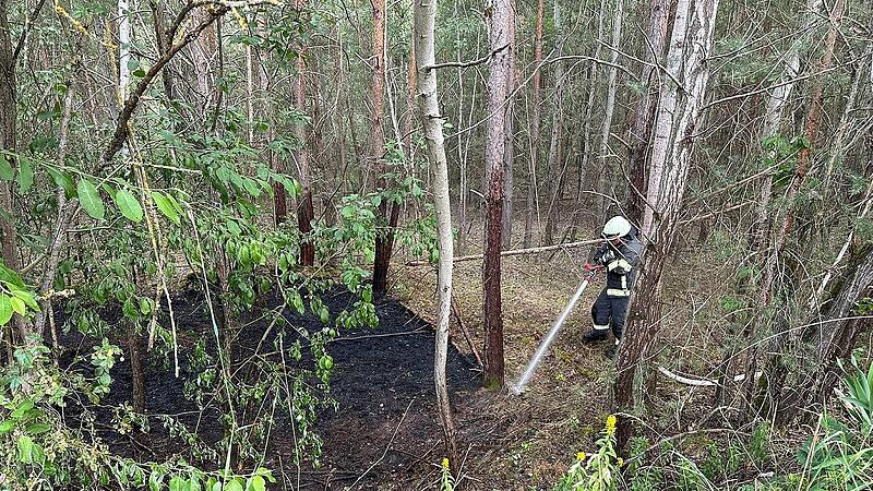 Blitz entfacht Waldbrand im Kreis Erlangen-Höchstadt - Feuerwehr gefordert Blitz entfacht Waldbrand im Kreis Erlangen-Höchstadt - Feuerwehr gefordert