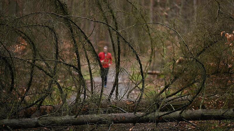 Umfallende Bäume und schwere Äste stellen für Spaziergänger, Nordic Walker und Jogger eine große Gefahr dar. Umfallende Bäume und schwere Äste stellen für Spaziergänger, Nordic Walker und Jogger eine große Gefahr dar.