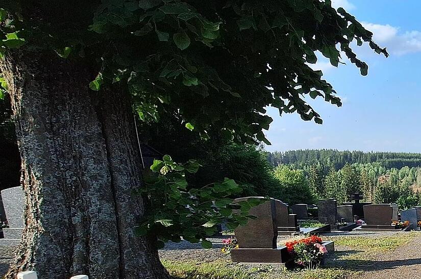 Nicht zum ersten Mal muss sich der Nordhalbener Rat mit der Zukunft des Friedhofs befassen.