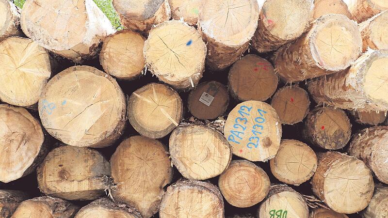 Wird das Heizen mit Holz durch die CO2-Abgabe verteuert? Auf dem Tisch scheint diese Idee schon gelegen zu haben.