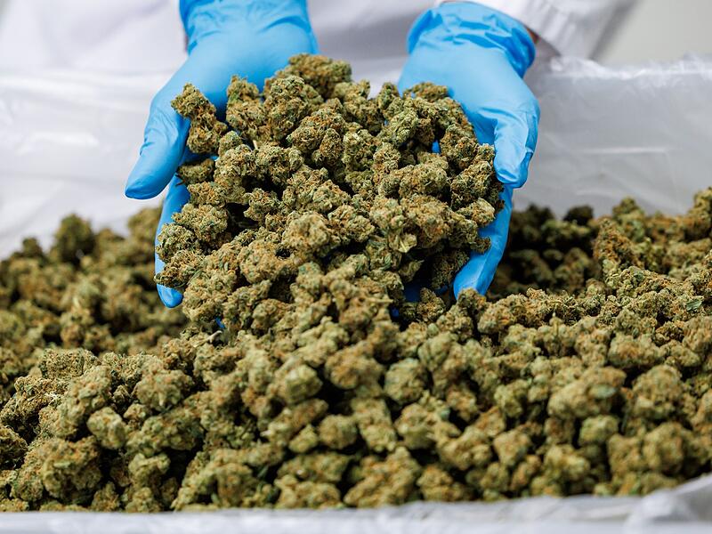 Medizinal-Cannabis Medizinal-Cannabis