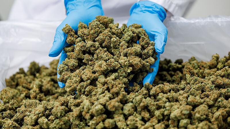 Medizinal-Cannabis Medizinal-Cannabis