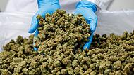 Medizinal-Cannabis