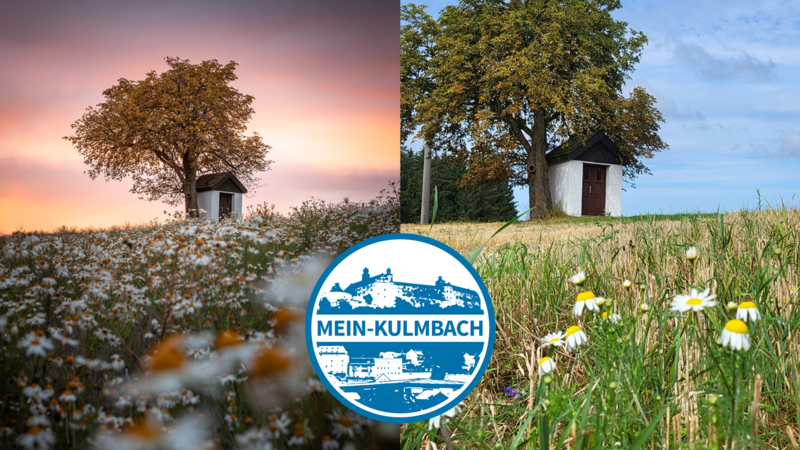 So ganz haben wir die Vorlage nicht getroffen.