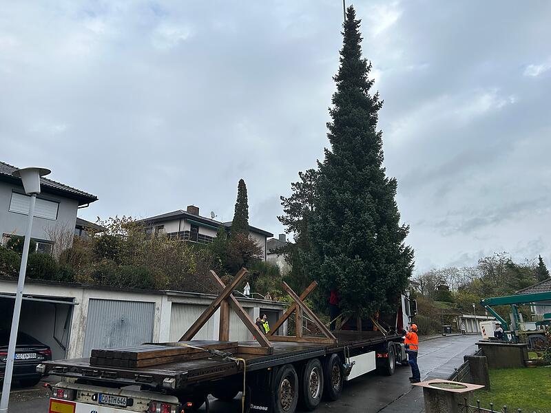 Unterwegs mit dem Coburger Weihnachtsbaum