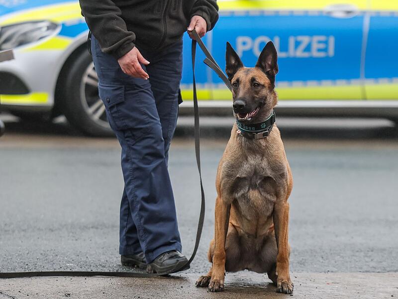 Polizeikontrolle Polizeikontrolle