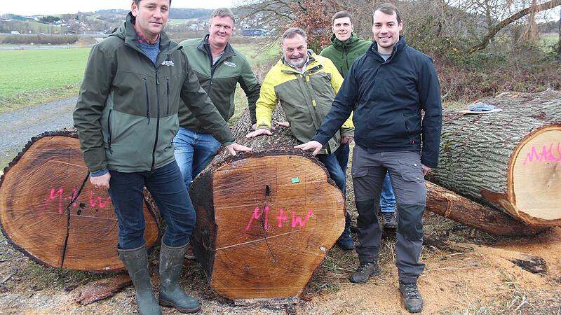 Eiche erzielt Spitzenpreis