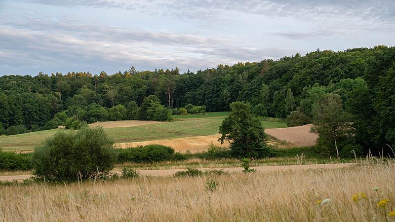 Waldbrandgefahr