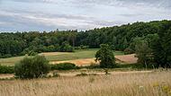 Waldbrandgefahr