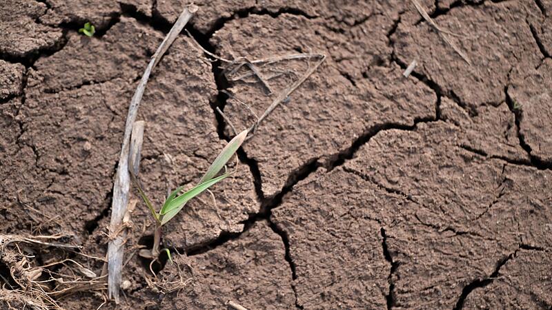 Trockenheit in der Landwirtschaft Trockenheit in der Landwirtschaft
