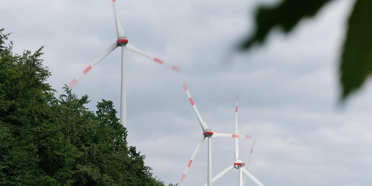 Die Region soll vom Windpark-Projekt am Rennsteig profitieren die ...