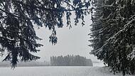 Pünktlich zum Beginn der Adventszeit hat es geschneit im Kulmbacher Land. So sah es am Wochenende bei Presseck aus.