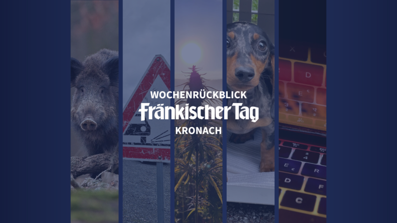 Wochenrückblick
