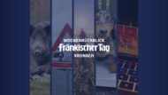 Wochenrückblick