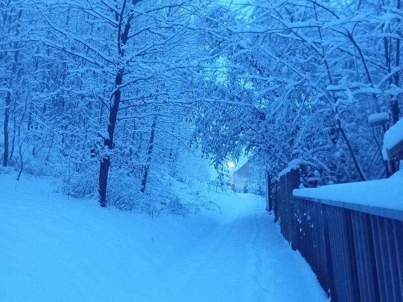 Schnee in Kulmbach: Die sch&ouml;nsten Leserfotos