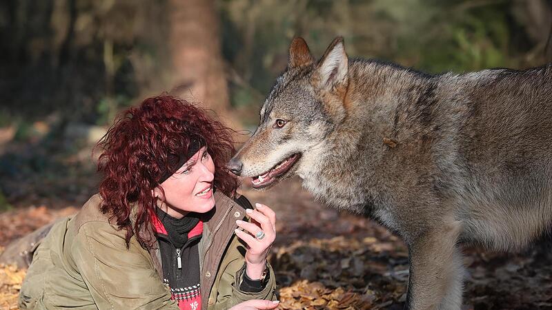Tanja Askani im Wildpark Lüneburger Heide mit Wolf Nuka, der vergangenes Jahr als Welpe in der Rhön gefunden wurde.