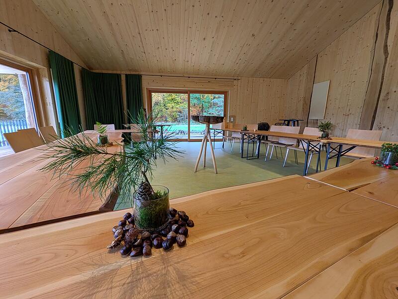 Der lichtdurchflutete Seminarraum von „Lichtung 3“ verbindet natürliche Materialien mit Ausblick ins Grüne und schafft eine inspirierende Atmosphäre.