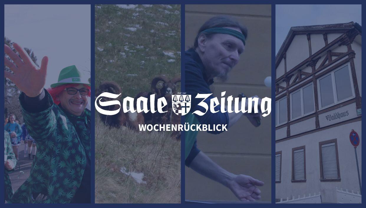Wochenrückblick Bad Kissingen: Wölfe, Long-Covid und Post-Covid