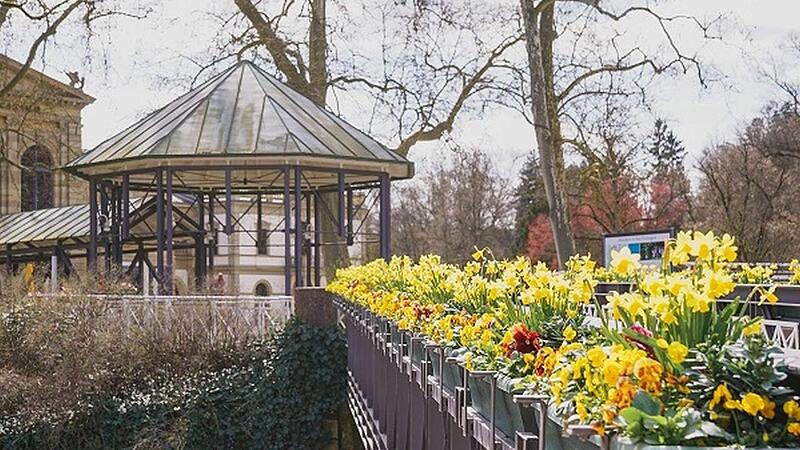 Blühende Pflanzen sorgen für Frühlingsstimmung am Arkadensteg. Blühende Pflanzen sorgen für Frühlingsstimmung am Arkadensteg.