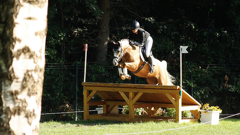 Stute Pannacotta &uuml;berzeugt mit Konstanz und Freude an der Arbeit.