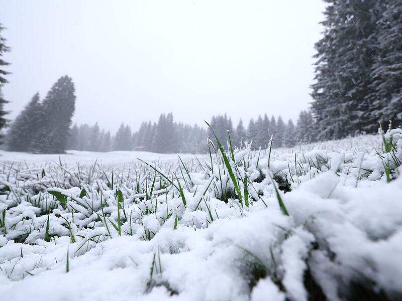 Schneefall in den höheren Lagen Bayerns Schneefall in den höheren Lagen Bayerns
