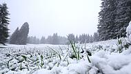 Schneefall in den h&ouml;heren Lagen Bayerns