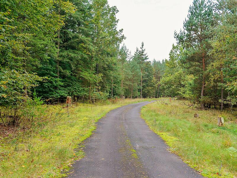 Die Bamberger Muna (Munitionsanstalt) ist Teil des Hauptsmoorwaldes und wurde fast 100 Jahre lang militärisch genutzt, zuletzt  1945 bis 2014 von der US-Armee.