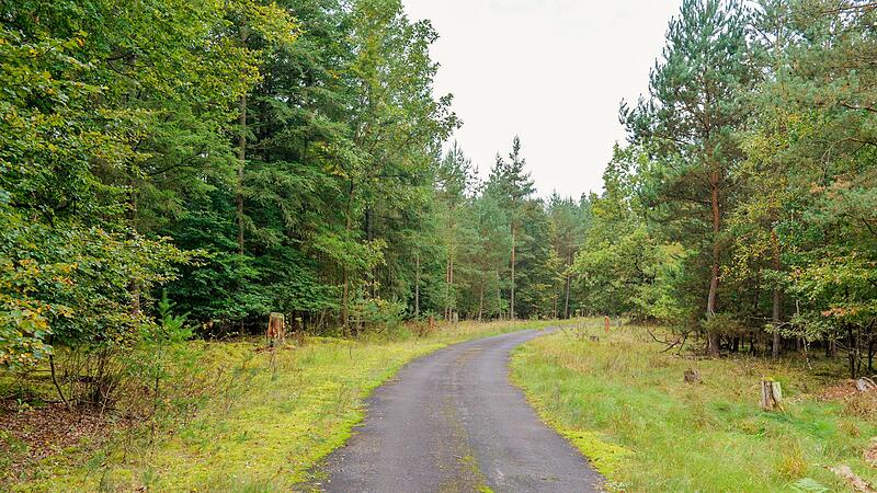 Die Bamberger Muna (Munitionsanstalt) ist Teil des Hauptsmoorwaldes und wurde fast 100 Jahre lang militärisch genutzt, zuletzt 1945 bis 2014 von der US-Armee. Die Bamberger Muna (Munitionsanstalt) ist Teil des Hauptsmoorwaldes und wurde fast 100 Jahre lang militärisch genutzt, zuletzt 1945 bis 2014 von der US-Armee.