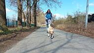Die Zeitumstellung bringt auch die innere Uhr von Hunden durcheinander, da sich ihre feste Gassi-Zeit um eine Stunde verschiebt, weiß FT-Reporterin Manuela Nagl.
