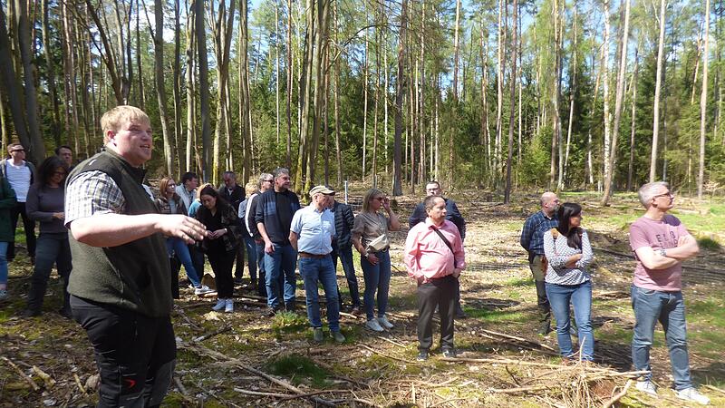 tadtförster Leonhard Hümmer erklärt, wie der Wald wieder aufgeforstet und natürlich verjüngt werden soll.Forchheim & Fränkische Schweiz tadtförster Leonhard Hümmer erklärt, wie der Wald wieder aufgeforstet und natürlich verjüngt werden soll.Forchheim & Fränkische Schweiz