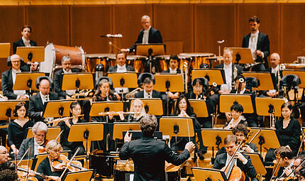 Bamberger Symphoniker Bamberger Symphoniker