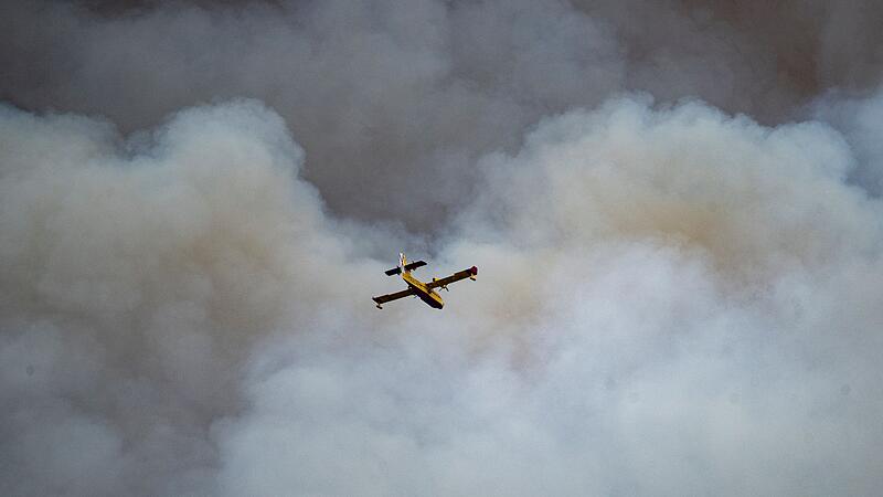 Waldbrand in Spanien Waldbrand in Spanien