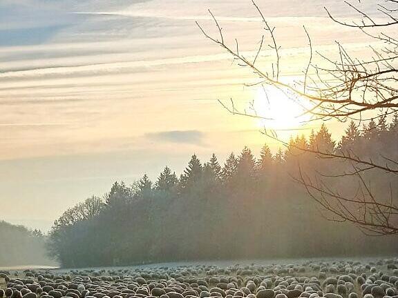 Dieses beeindruckende Foto wurde kommend von der Ruine Aura zum Parkplatz an der Straße KG 13 von Bad Kissingen Richtung Wittershausen.