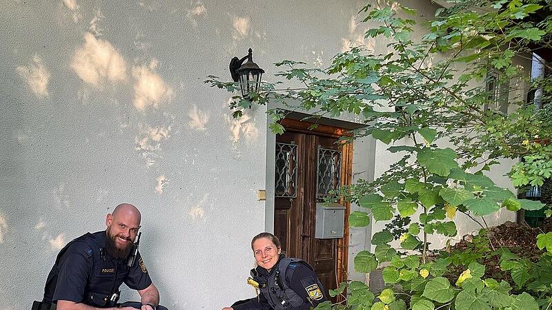 Forchheim: Polizei sucht entlaufene Kuh und ihr Kalb