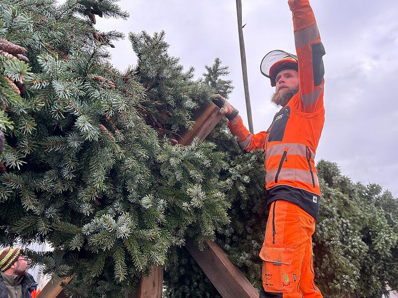 Unterwegs mit dem Coburger Weihnachtsbaum &ndash; hier wird er verladen