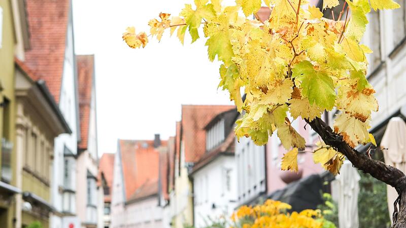 In der Forchheimer Innenstadt hat sich zuletzt wieder einiges getan.Forchheim & Fränkische Schweiz