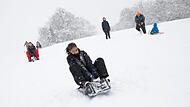 Schnee Bamberg Der Sauersberg am Fuße der Altenburg zählt zu den beliebtesten Rodelhängen in Bamberg. Hier eine Aufnahme vom 26. Januar 2026.