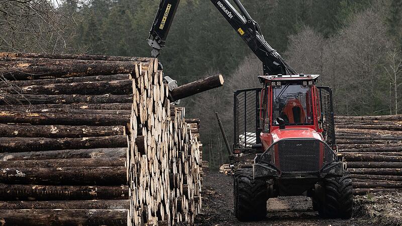 Im nächsten Jahr sollen im Maßbacher Gemeindewald insgesamt 1800 Festmeter Holz eingeschlagen werden.