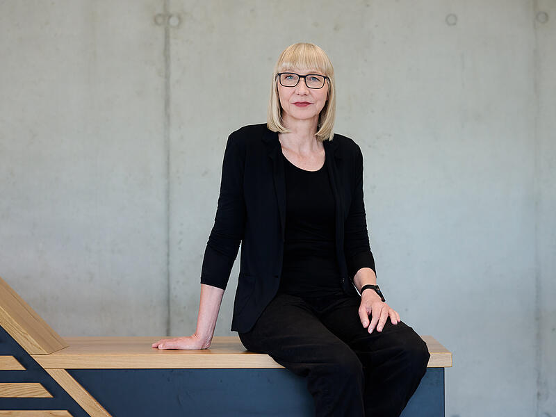 Prof. Dr. Sabine Pfeiffer FAU Erlangen-Nürnberg Prof. Dr. Sabine Pfeiffer FAU Erlangen-Nürnberg