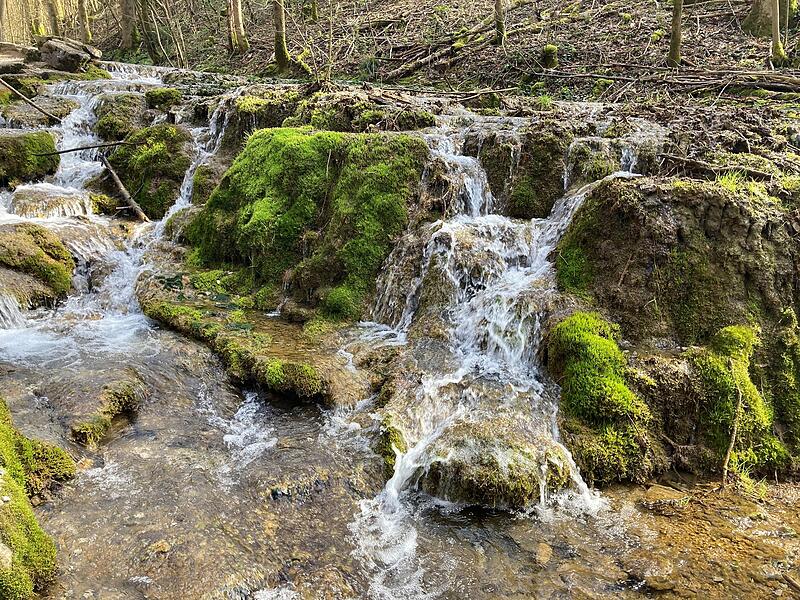 An den Sinterterassen der Lillach bei Wei&szlig;enohe sprudelt das Wasser derzeit f&ouml;rmlich.