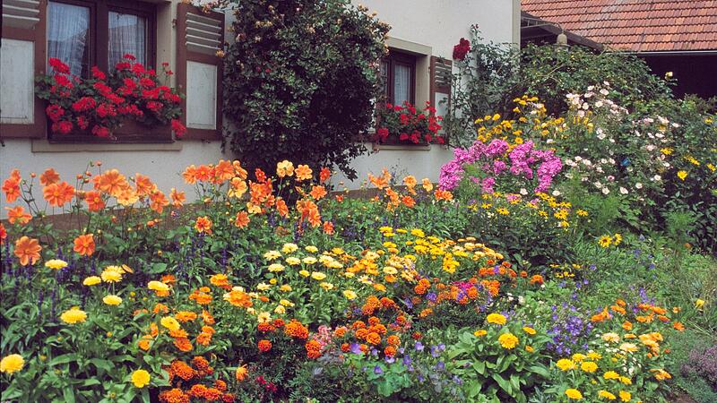 Bauerngarten Bauerngarten