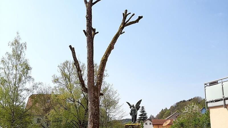 Baumschnitt Baumschnitt